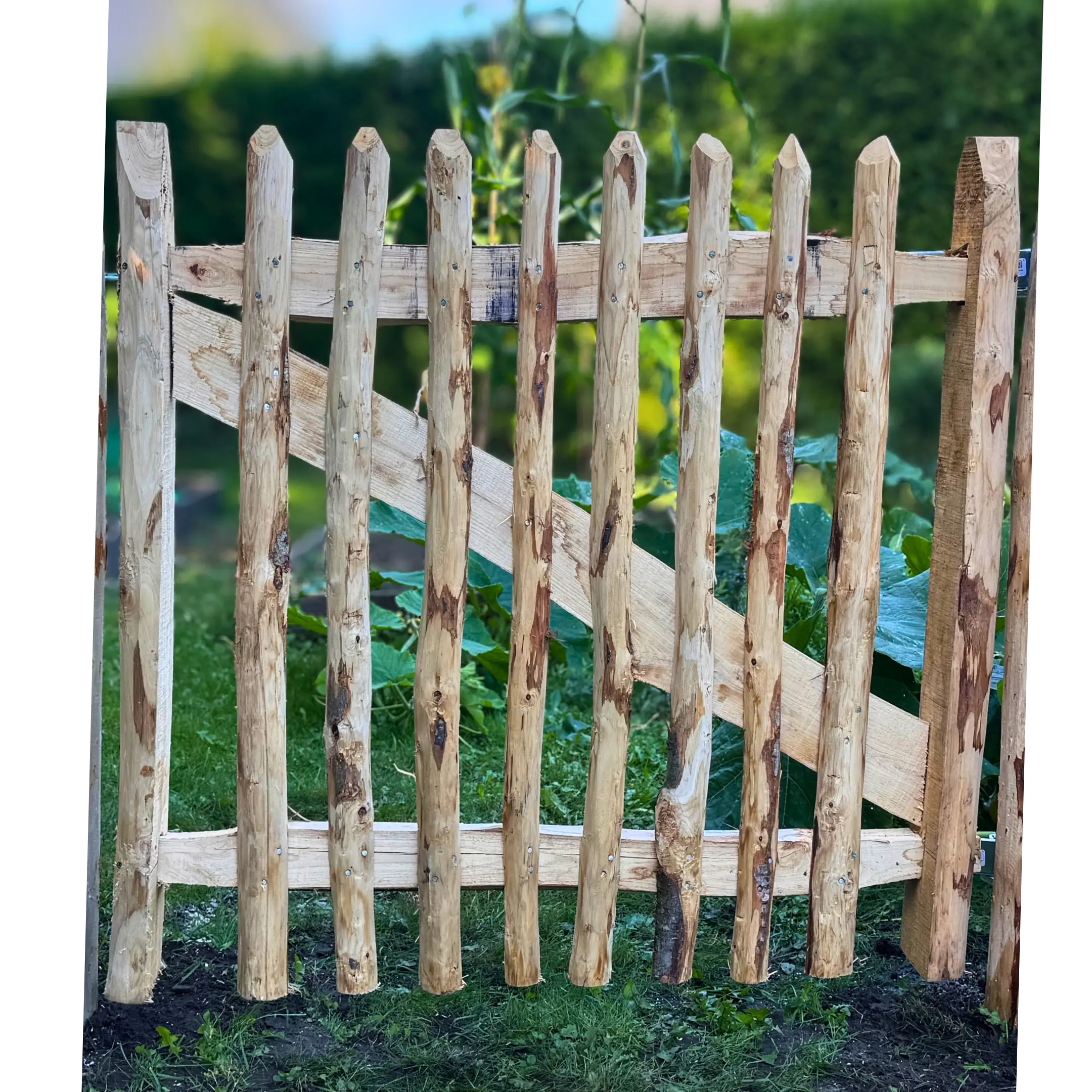 Kastanje poort Premium